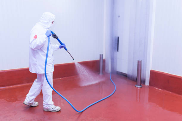 Best Pool Deck Cleaning  in Holiday Heights, NJ