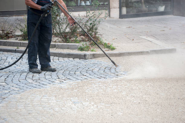 Animal Enclosure Cleaning in Holiday Heights, NJ